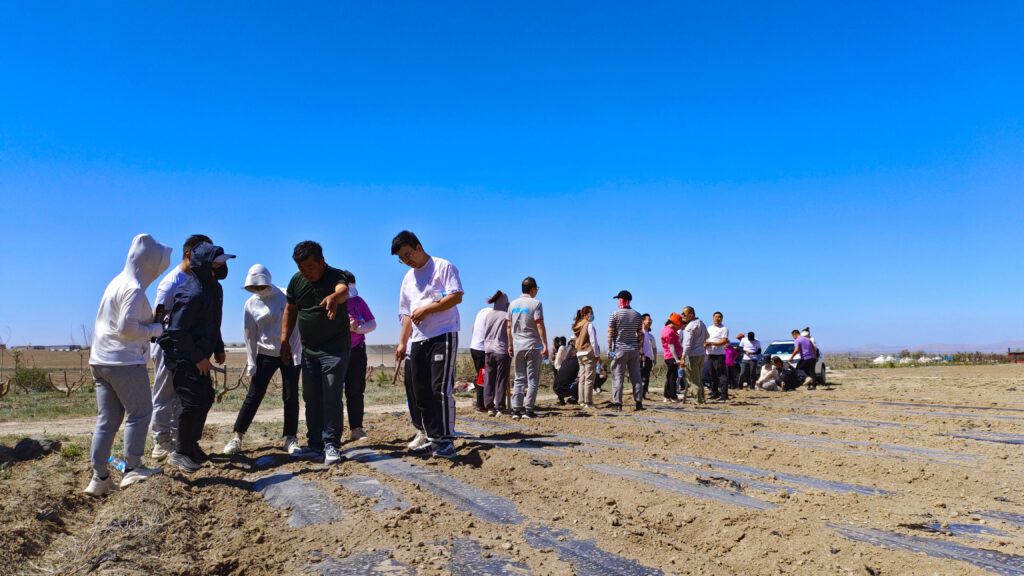 走进田园 播种希望|usdt全球娱乐城物流春种团建运动