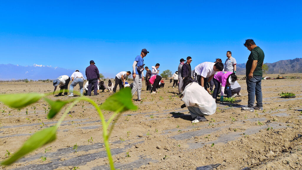 走进田园 播种希望|usdt全球娱乐城物流春种团建运动